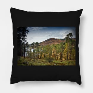 Glentrool Photograph Dumfries and Galloway Pillow