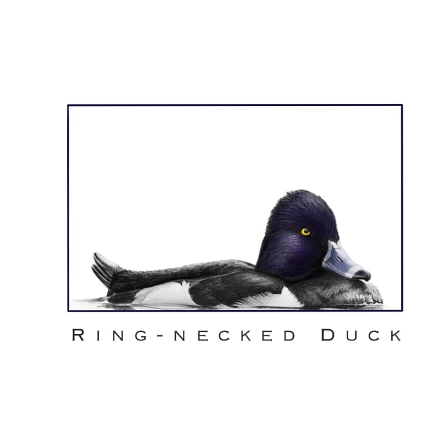 Ringer - Ring-Necked Duck by  Cory James Fine Art
