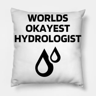 World okayest hydrologist Pillow