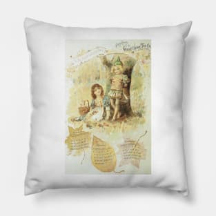 Robin And Marian Pillow