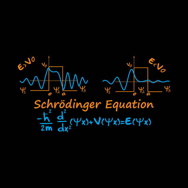 schrodinger equation by hakim91