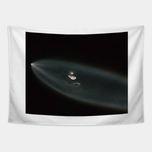 SpaceX Iridium Flight 4 Tapestry