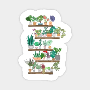 Plant Shelfie Magnet