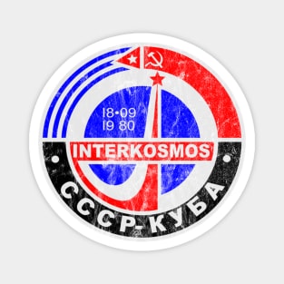 Interkosmos Magnet