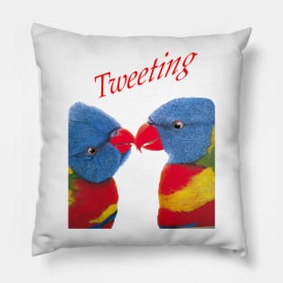 Rainbow Lorikeets :Tweeting Birds Pillow