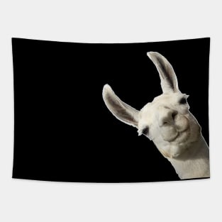 Llama Alpaca Party Cute Llama Lovers Picture Tapestry