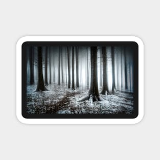 Abstract Forest in Mist and Snow Magnet