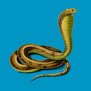 Vintage Egyptian cobra snake reptile T-Shirt