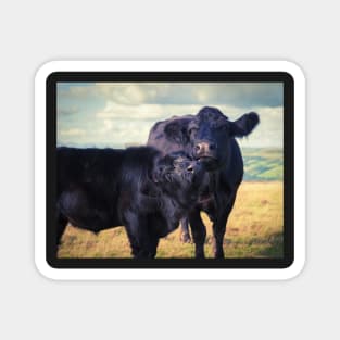 Farmland Family Portrait Magnet