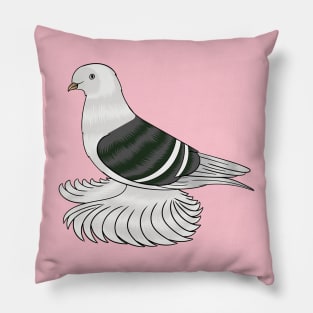 Saxon Shield pigeon bird cartoon illustration Pillow