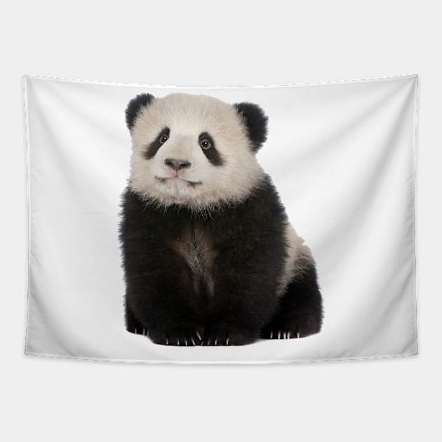Baby Panda Tapestry by MysticTimeline