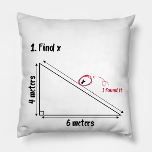 find x i found it Funny Math Pillow