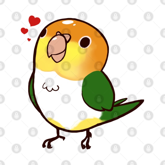 Caique 2 by Shemii