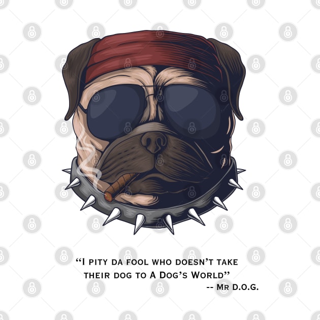 I Pity Da Fool  --Mr. D.O.G. by A Dog's World