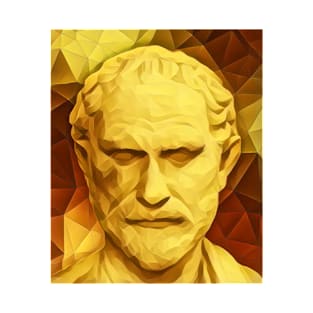 Megasthenes Golden Portrait | Megasthenes Artwork 9 T-Shirt