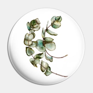 Dry eucalyptus Pin