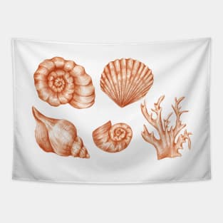 Seashells Tapestry