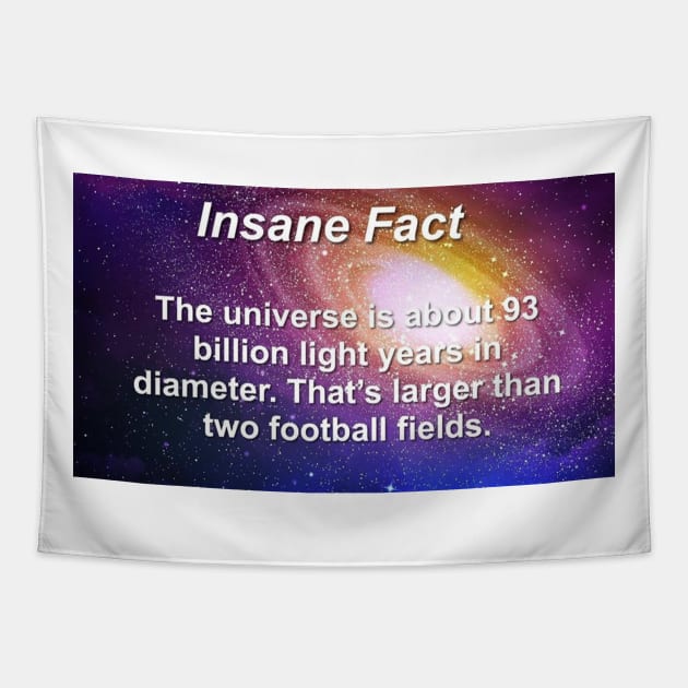 Insane Fact The Universe Is Larger Than Two Football Fields Sarcastic Dank Meme Quote Funny Meme T-Shirt Tapestry by Hamza Froug