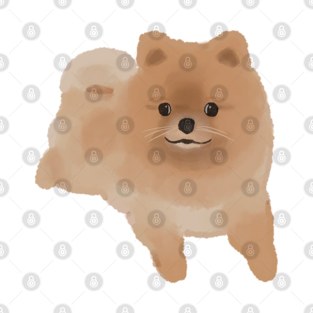 Pomeranian by piscoletters