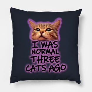 normal cat lady Pillow