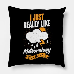 I Just Really Like Meteorology OK Pillow