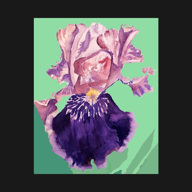 Iris Watercolor Painting - Glorious Purple on Mint Green by SarahRajkotwala