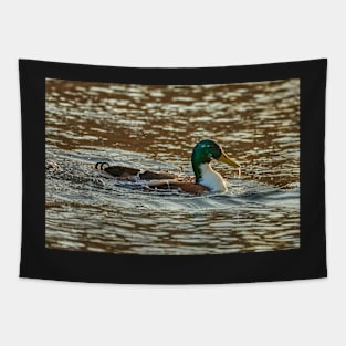 Water off a duck's back Tapestry