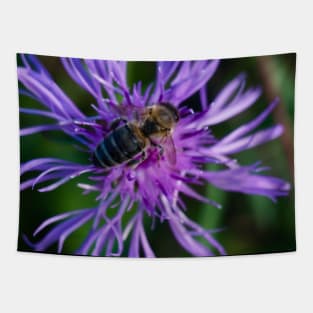 Bee On Purple Flower Tapestry