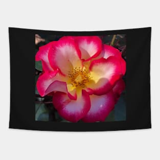 Red and Yellow Rose Tapestry