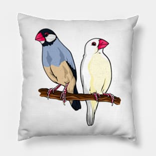 two java sparrow birds Pillow