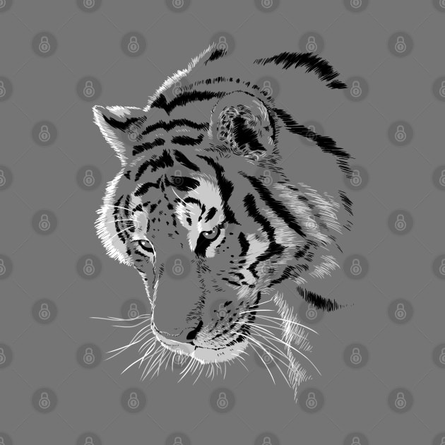 Tiger by albertocubatas