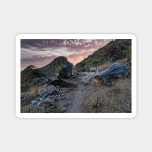 Desert Trail Sunrise Magnet