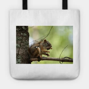 Red Squirrel Tote