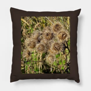 Thistle. Pillow