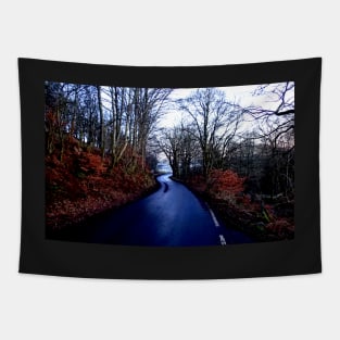 Country lane Tapestry