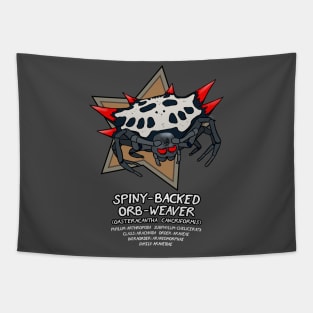 Spiny-Backed Orb-Weaver Tapestry