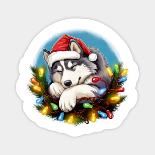 Lazy Siberian Husky Dog at Christmas Magnet