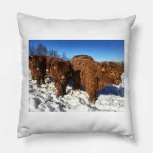 Scottish Highland Cattle Calves 1714 Pillow