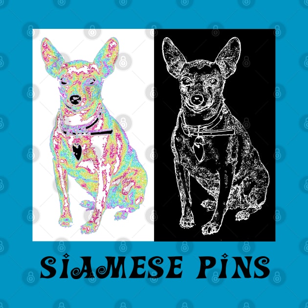 Siamese Pins by amigaboy