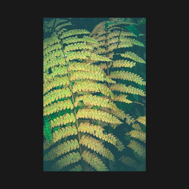 Woodland Fern by oliviastclaire