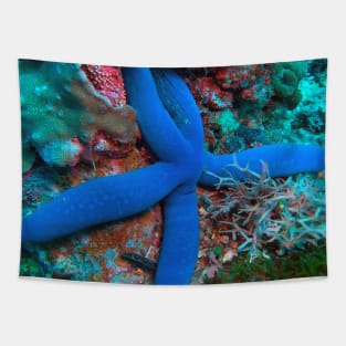 Sea Star Tapestry