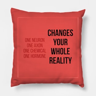 Changes Your Whole Reality Pillow