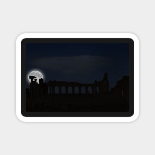 Volubilis by Night. Magnet