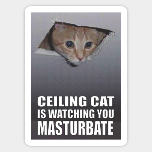 Ceiling Cat