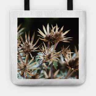 Spikey Seed heads Tote