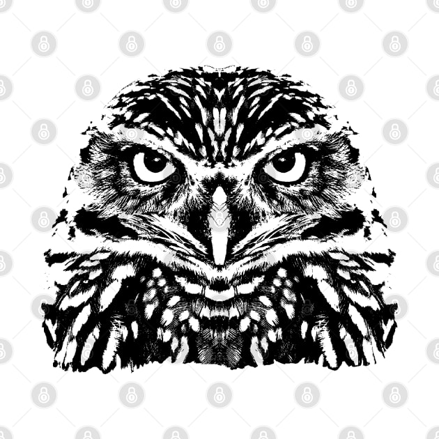 Little owl by R LANG GRAPHICS