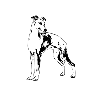 Italian Greyhound Minimalistic Art T-Shirt