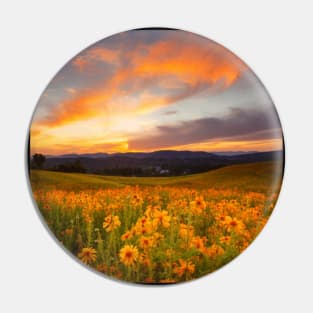 Beautiful landscap flowers and sunset Pin