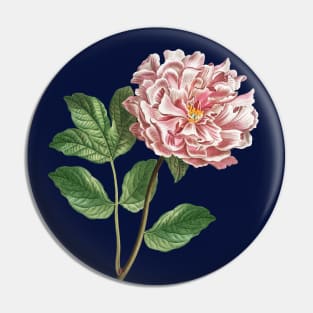 Pink peony Pin