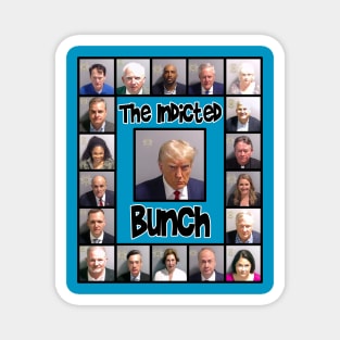 The Indicted Bunch Magnet